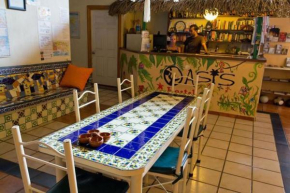 Гостиница Oasis Original Hostel  Пуэрто-Вальярта